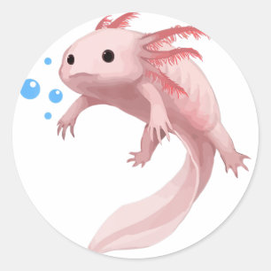 Adesivo Redondo Ambystoma Mexicanum Cute Axolotl adolescente bebê