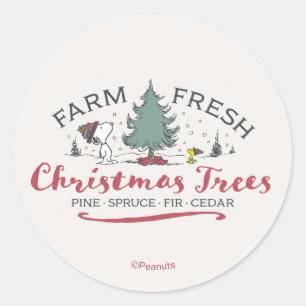 Adesivo Redondo Amendoins Árvores de Natal Frescas da Fazenda