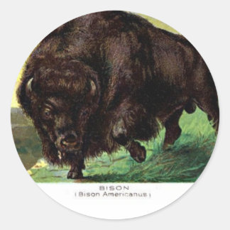 Adesivo Redondo American Bison