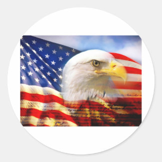 Adesivo Redondo American Flag Bald Eagle