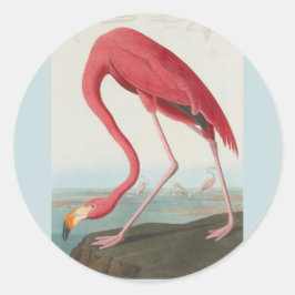 Adesivo Redondo American Flamingo, por John James Audubon 1838