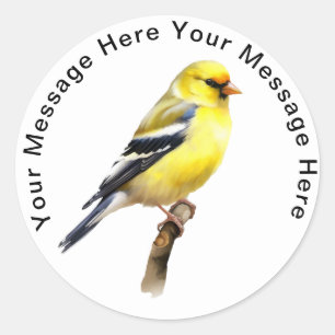 Adesivo Redondo American Goldfinch