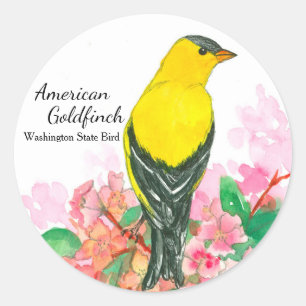 Adesivo Redondo American Goldfinch Washington State Bird Yellow