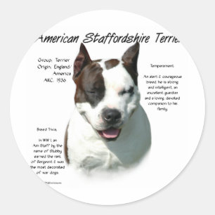 Adesivo Redondo American Staffordshire Terrier History,