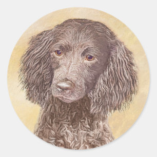Adesivo Redondo American Water Spaniel Painting - Arte Original de