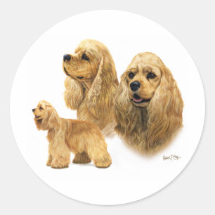 Adesivo Redondo Americano cocker spaniel