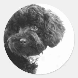 Adesivo Redondo Amigo Adorável