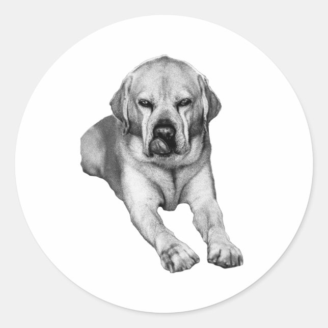 Adesivo Redondo Amigo Steadfast em Tinta (Frente)