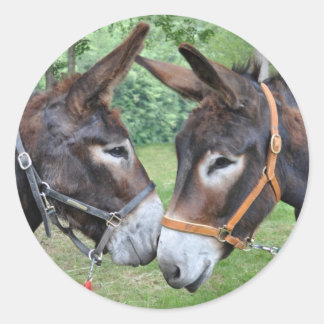 Adesivo Redondo Amigos burros