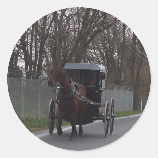 Adesivo Redondo Amish Buggy Sticker (Frente)
