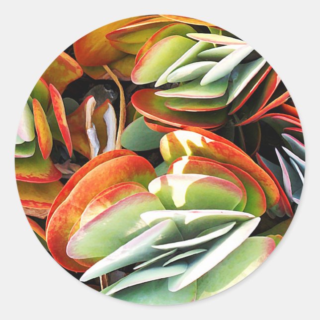 Adesivo Redondo Amor_ (Frente)