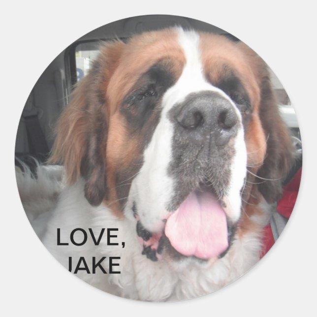 ADESIVO REDONDO AMOR, JAKE STICKER (Frente)