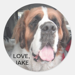 ADESIVO REDONDO AMOR, JAKE STICKER