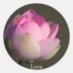 Adesivo Redondo Amor Lotus