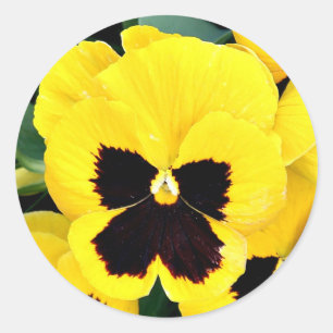 Adesivo Redondo Amor perfeito amarelo