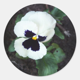 Adesivo Redondo Amor perfeito branco bonito