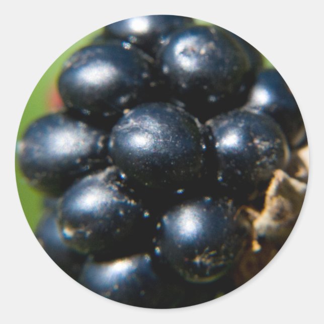 Adesivo Redondo Amoras (Frente)