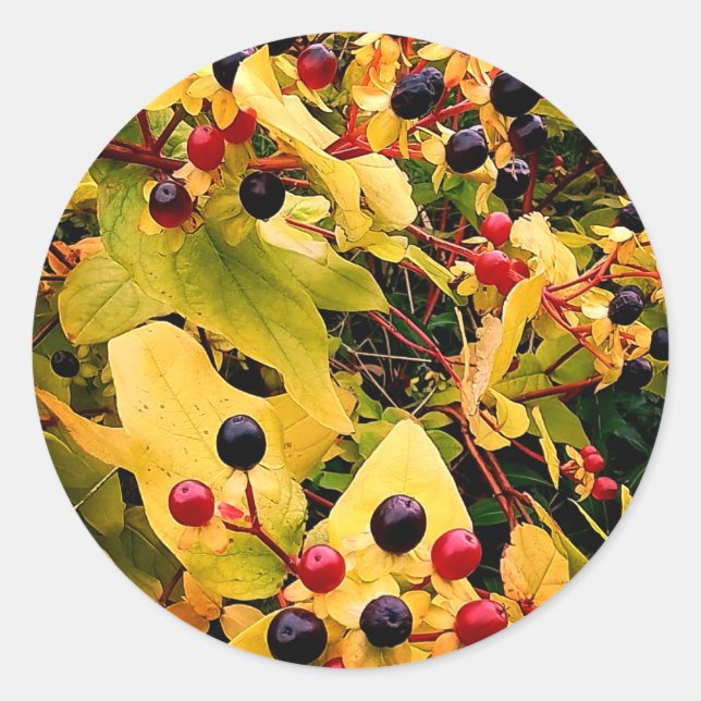 Adesivo Redondo Amoras pretas e vermelhas (Frente)