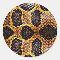 Anaconda cobra