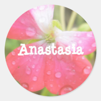 Adesivo Redondo Anastásia nome de menina amaryllis autocolantes