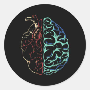 Adesivo Redondo Anatomia Cérebro Mental Neurodiversidade E Cardíac