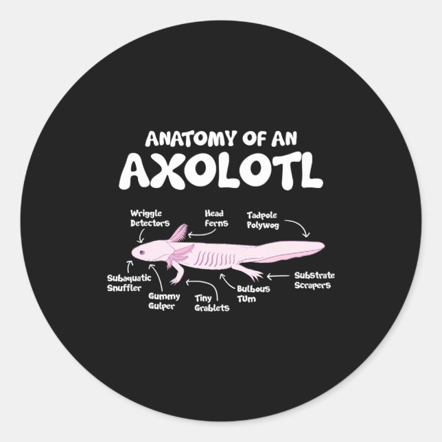 Adesivo Redondo anatomia de axolotl axolotls biology science (Frente)