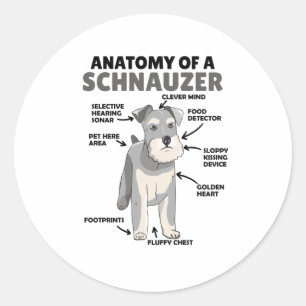 Adesivo Redondo Anatomia De Cachorro Cuto Schnauzer