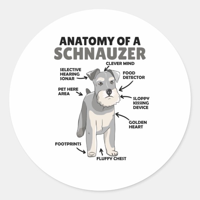 Adesivo Redondo Anatomia De Cachorro Cuto Schnauzer (Frente)
