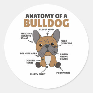 Adesivo Redondo Anatomia De Cachorro Engraçado Cachorro
