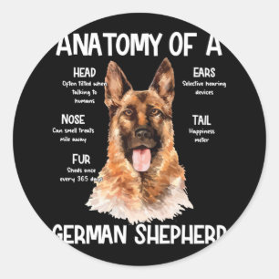 Adesivo Redondo Anatomia De German shepherd Para Cachorros