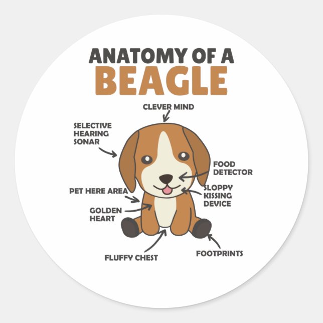 Adesivo Redondo Anatomia De Um Cachorro De Beagle Cute Cachorros (Frente)