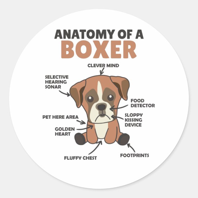 Adesivo Redondo Anatomia De Um Cachorro Doce Boxer (Frente)