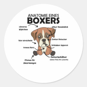 Adesivo Redondo Anatomia De Um Cachorro Doce Boxer