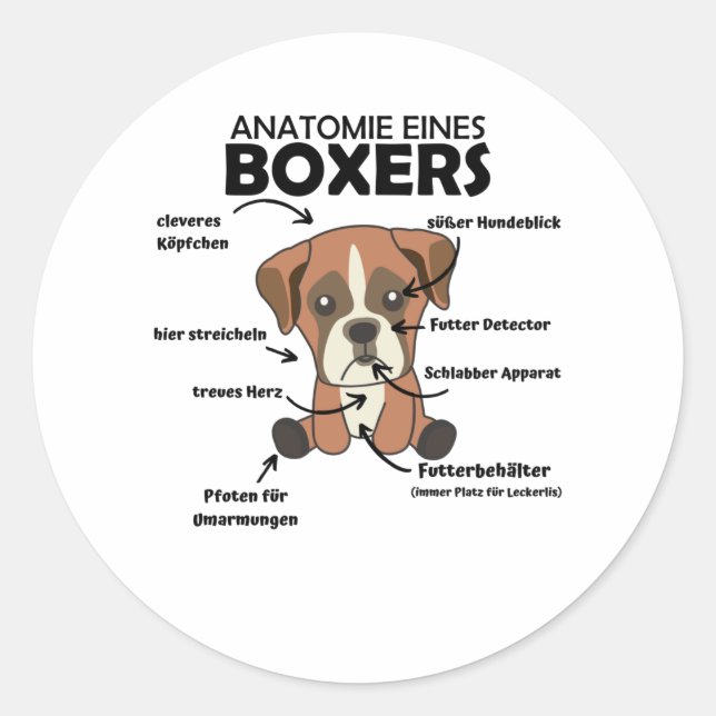 Adesivo Redondo Anatomia De Um Cachorro Doce Boxer (Frente)
