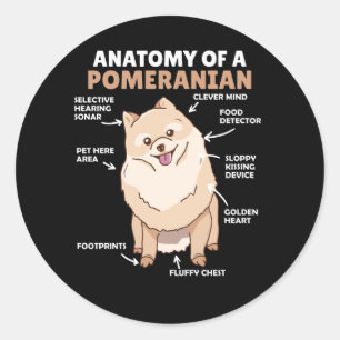 Adesivo Redondo Anatomia De Um Cachorro Pomeraniano Cute Puppy