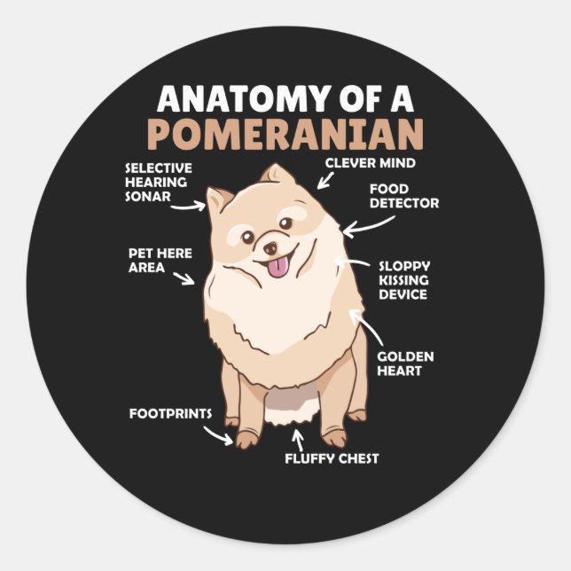Adesivo Redondo Anatomia De Um Cachorro Pomerano Cute Puppy (Frente)
