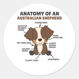 Adesivo Redondo Anatomia De Um Cão Doce Pastor Australiano