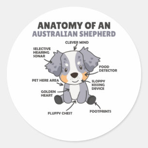 Adesivo Redondo Anatomia De Um Cão Doce Pastor Australiano