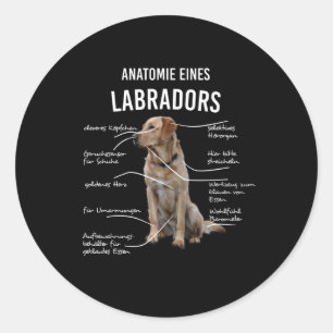 Adesivo Redondo Anatomia De Um Cão Engraçado De Labrador Retriev