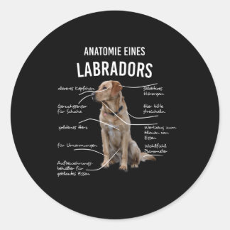 Adesivo Redondo Anatomia De Um Cão Engraçado Labrador Retriever
