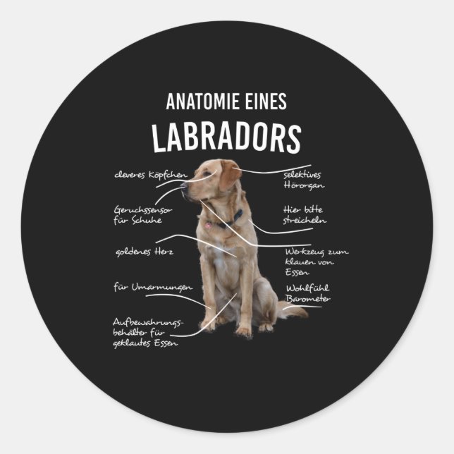 Adesivo Redondo Anatomia De Um Cão Engraçado Labrador Retriever (Frente)