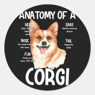 Adesivo Redondo Anatomia De Um Corgi Para Cachorros