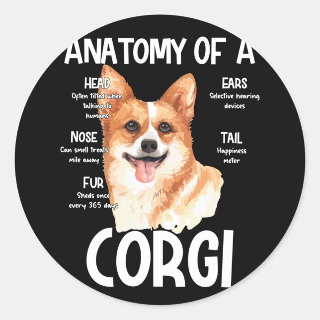 Adesivo Redondo Anatomia De Um Corgi Para Cachorros (Frente)