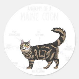 Adesivo Redondo Anatomia de um Gato de Maine Coon
