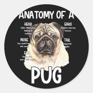 Adesivo Redondo Anatomia De Um Pug Para Cachorros