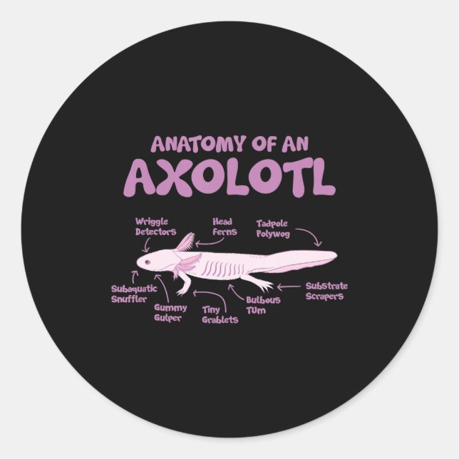 Adesivo Redondo anatomia de uma axolotl axolotls biology science. (Frente)
