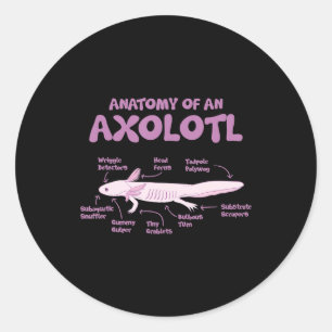 Adesivo Redondo anatomia de uma axolotl axolotls biology science.