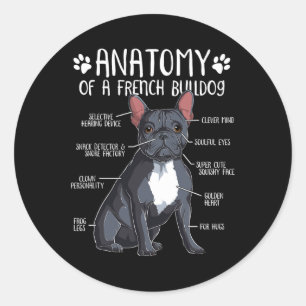 Adesivo Redondo Anatomia do Bulldog Francês Cachorro Francês Propr