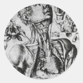 Adesivo Redondo anatomia do sistema respiratório