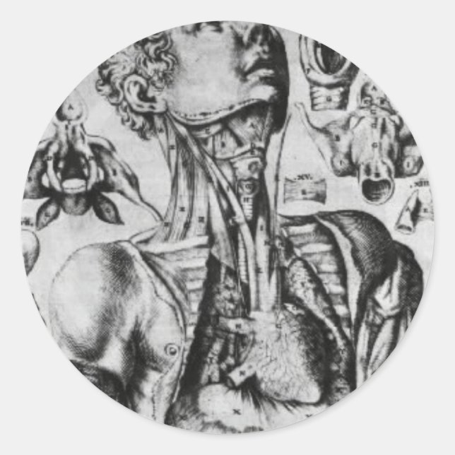 Adesivo Redondo anatomia do sistema respiratório (Frente)